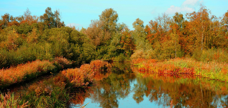 Mejores excursiones en bici desde Ámsterdam: Amsterdamse Bos