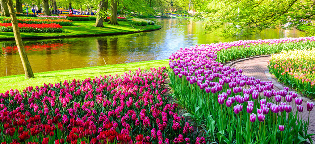 Jardines de Keukenhof