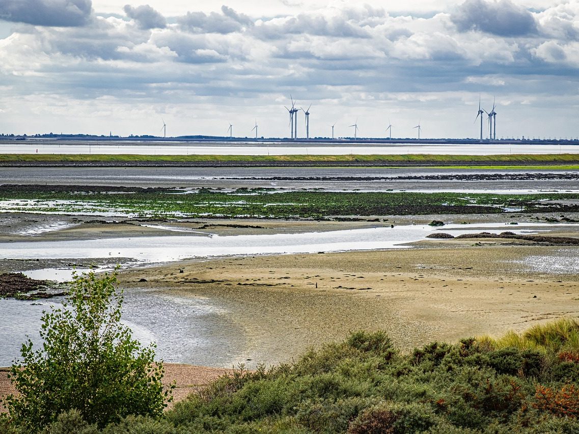Vista natural del área de Schelphoek en el Parque Nacional Oosterschelde, antiguo punto de ruptura de diques durante la inundación de 1953