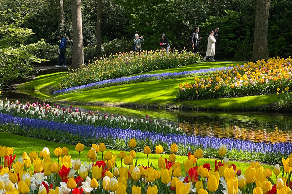 Campos de tulipanes en flor con visitantes paseando por los senderos del parque Keukenhof, en una jornada soleada de primavera en los Países Bajos.