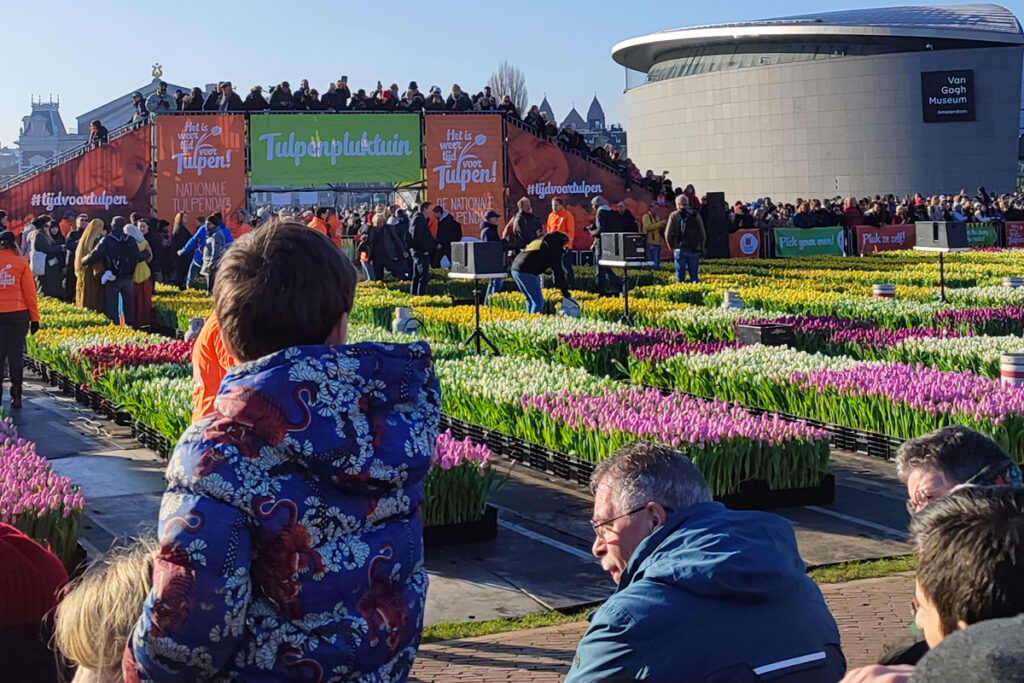 Familias disfrutando entre miles de tulipanes en Museumplein durante el Tulip Day 2025, en un día soleado de invierno en Ámsterdam.