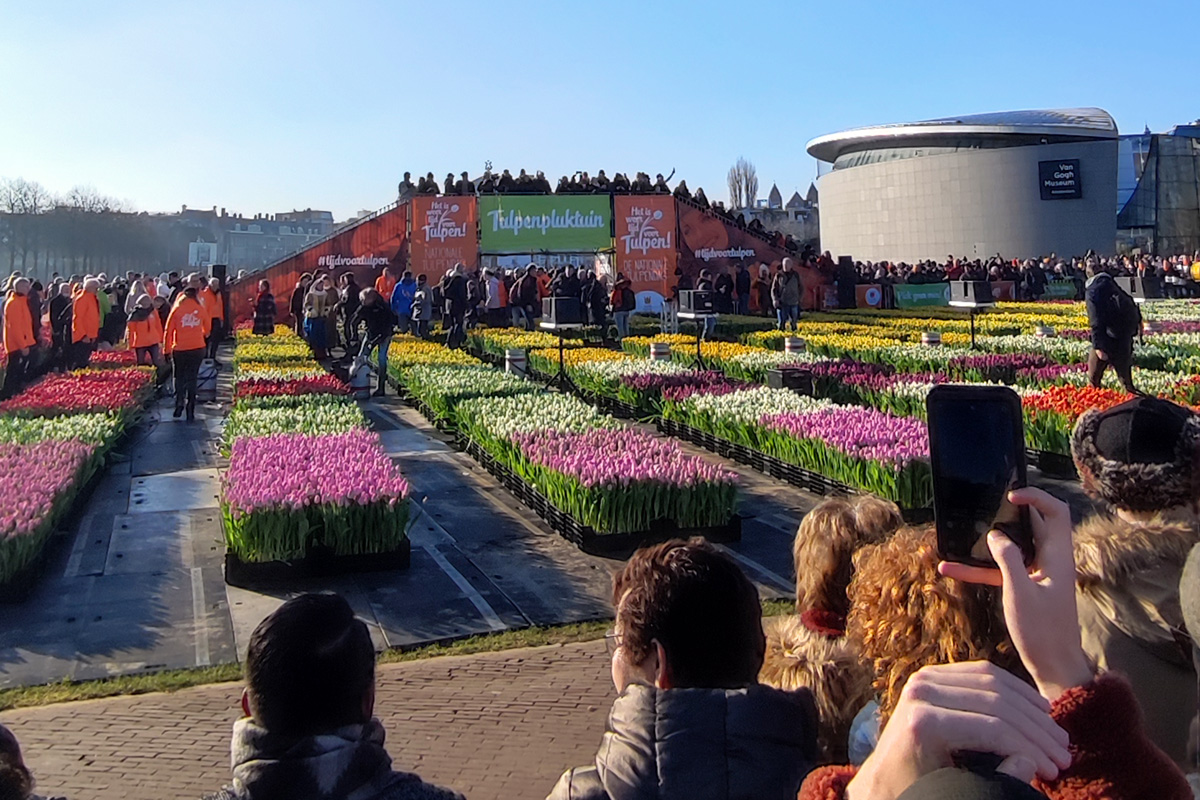 Visitantes disfrutando entre miles de tulipanes en Museumplein durante el Tulip Day 2025, en un día soleado de invierno en Ámsterdam.