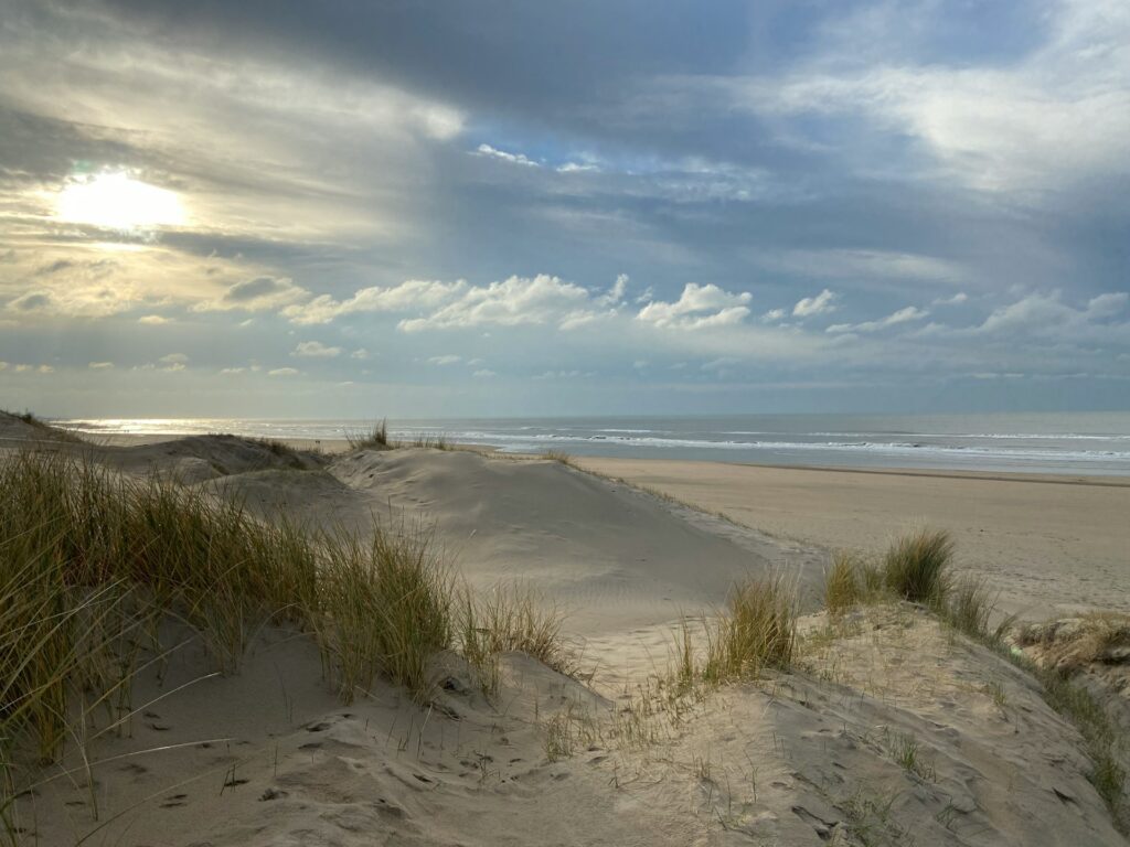 Dunas de la playa de Zandvoort al atardecer con luz cálida y vegetación costera en un paisaje tranquilo.