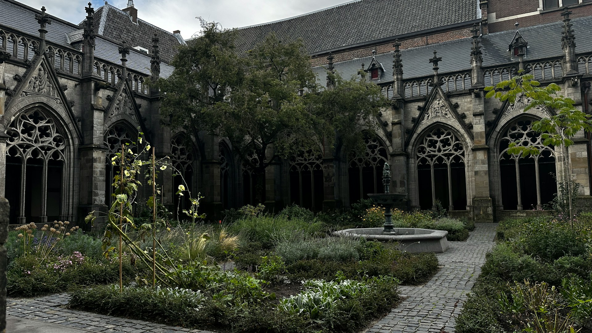 Jardín medieval del Pandhof de Utrecht rodeado por arcos góticos y vegetación en el centro histórico de la ciudad.
