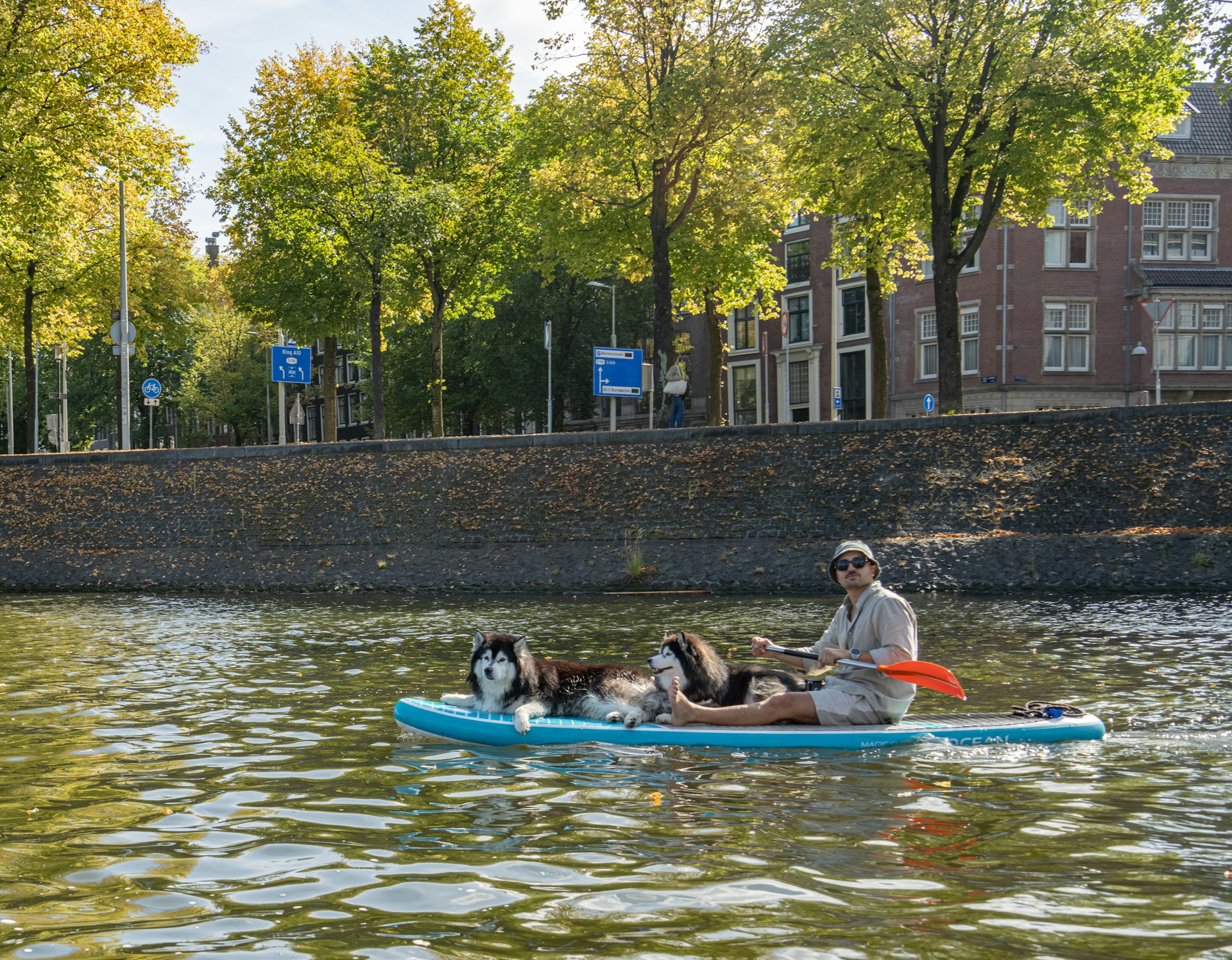 Hombre sentado en una tabla de paddle surf junto a dos perros navegando por un canal de Ámsterdam en un día soleado.