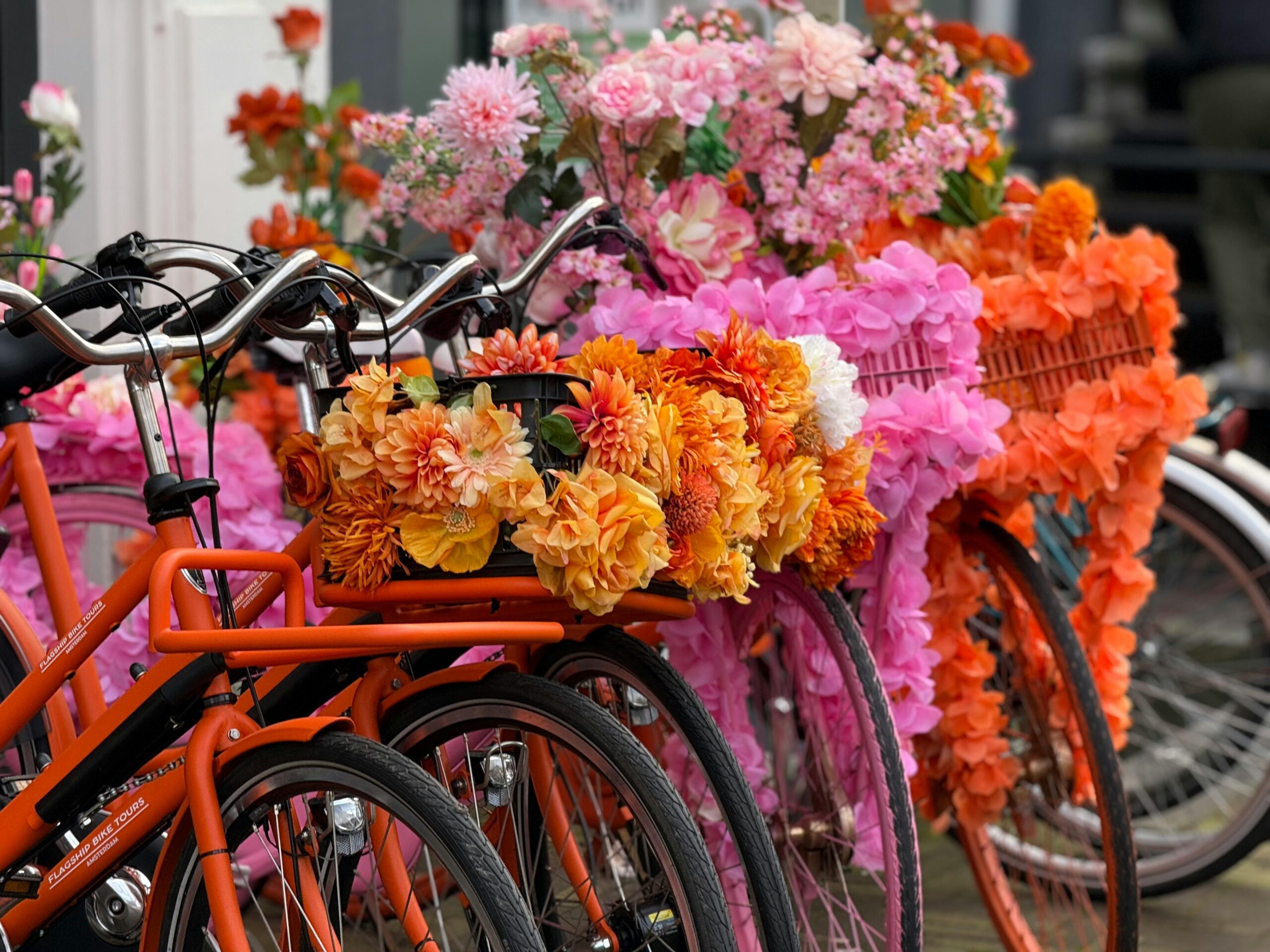 Bicicletas naranjas decoradas con flores naranjas y rosas en una calle de los Países Bajos.