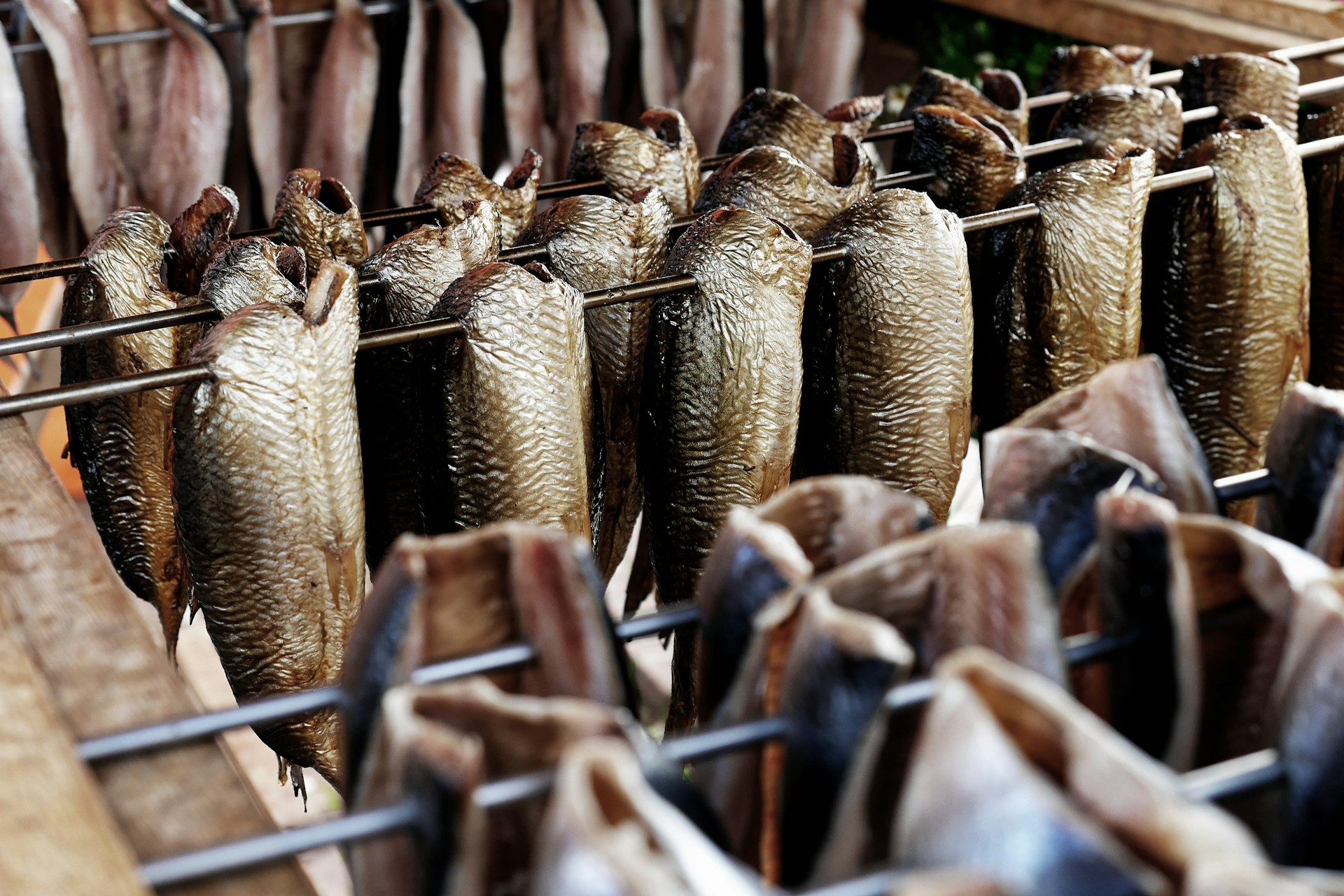 Anguilas secándose de forma tradicional en Volendam, una de las especialidades gastronómicas más conocidas de la región.