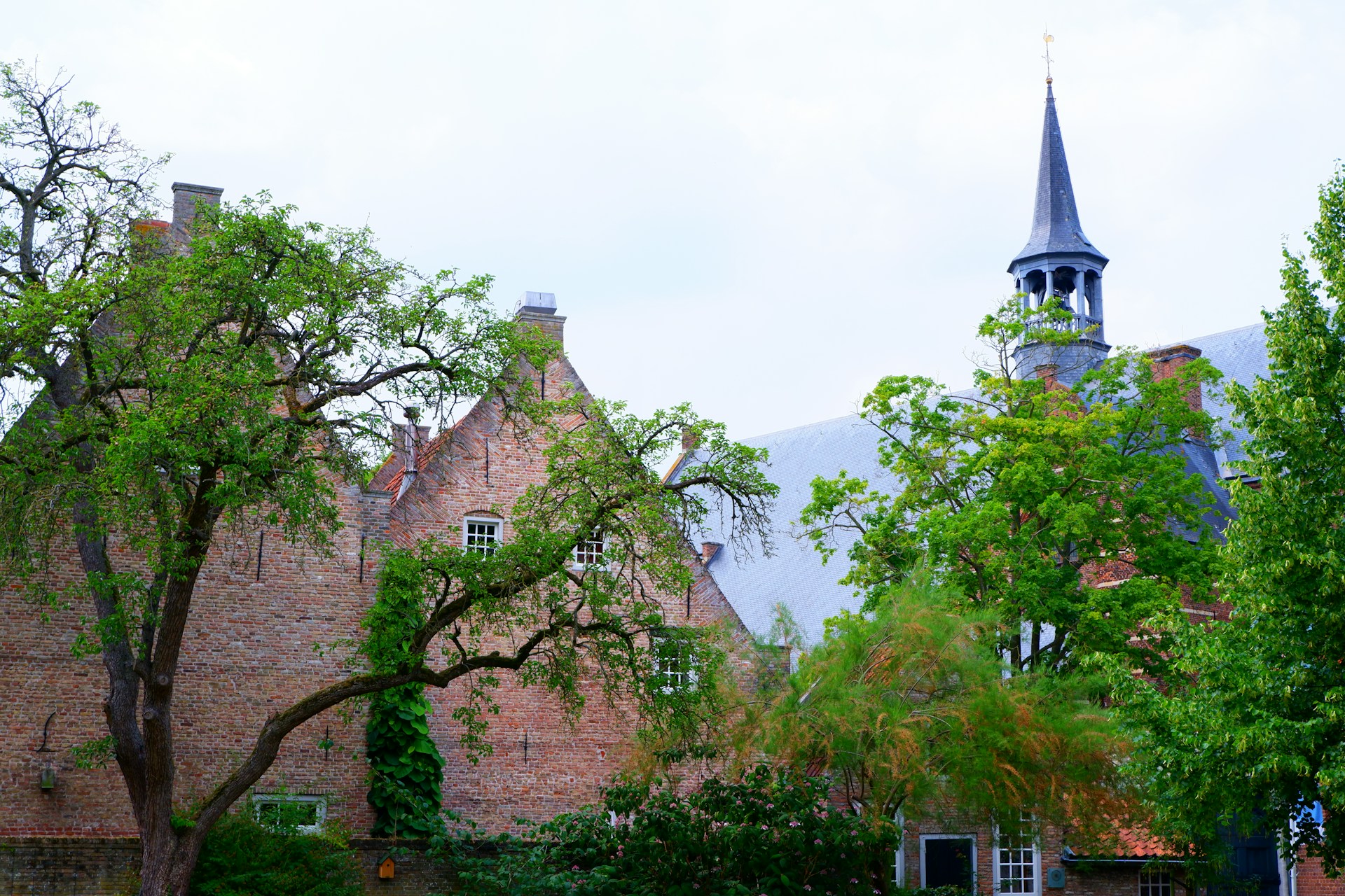 Edificios históricos de ladrillo en Heusden rodeados de árboles, con la torre de la iglesia destacando sobre el casco antiguo.