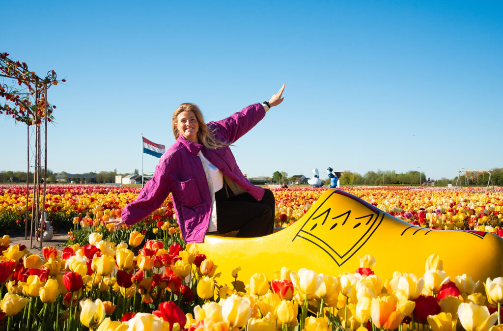 Tulip Experience